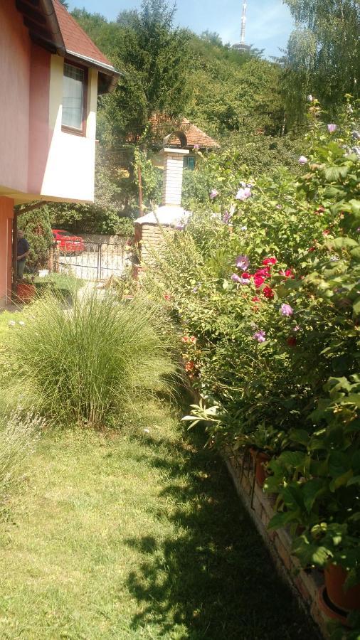 Apartman House Annesa Sarajewo Zewnętrze zdjęcie