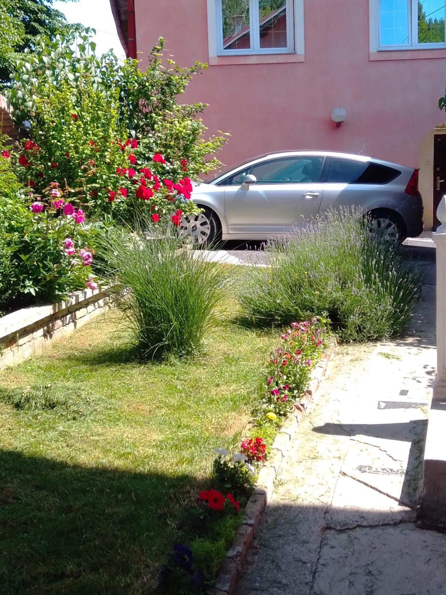 Apartman House Annesa Sarajewo Zewnętrze zdjęcie
